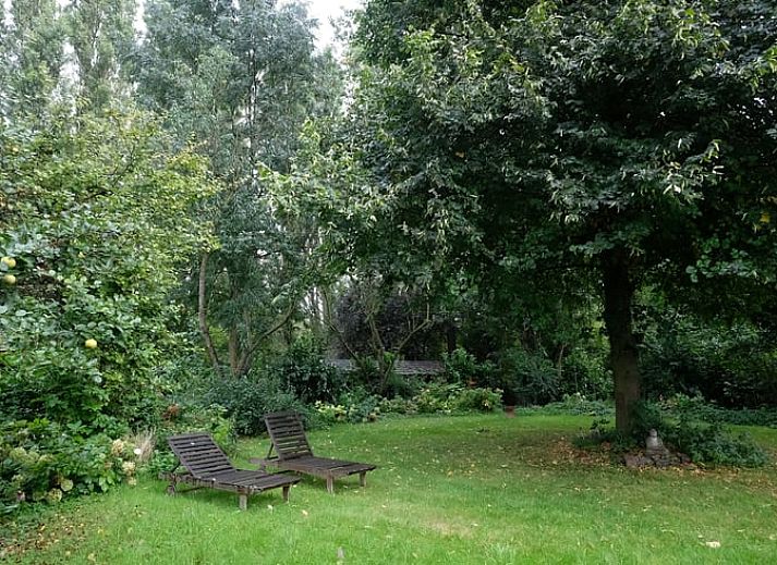Guest house 286410 - Holiday property Rivierengebied - Vakantiehuisje in Dreumel