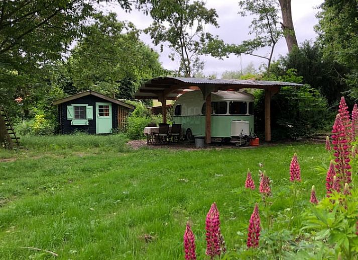 Unterkunft 286411 - Ferienhaus Rivierengebied - Vakantiehuis in Dreumel