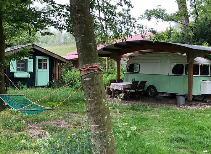 Unterkunft 286411 - Ferienhaus Rivierengebied - Vakantiehuis in Dreumel