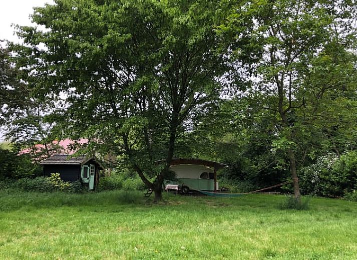 Unterkunft 286411 - Ferienhaus Rivierengebied - Vakantiehuis in Dreumel