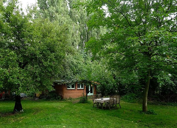 Guest house 286415 • Holiday property Rivierengebied • Huisje in Dreumel 