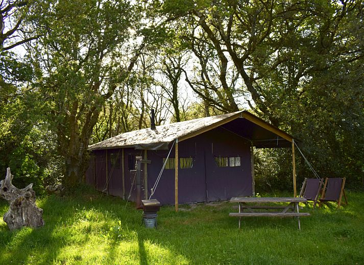 Verblijf 286417 - Tenthuis Rivierengebied - Tenthuisje met warme privédouche in de tent