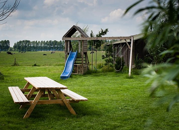 Guest house 286419 - Holiday property Rivierengebied - Huisje in Dreumel