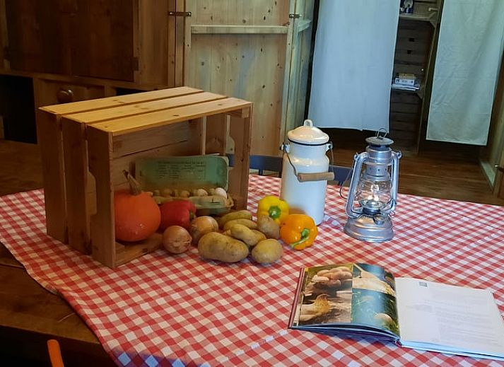 Guest house 286419 - Holiday property Rivierengebied - Huisje in Dreumel