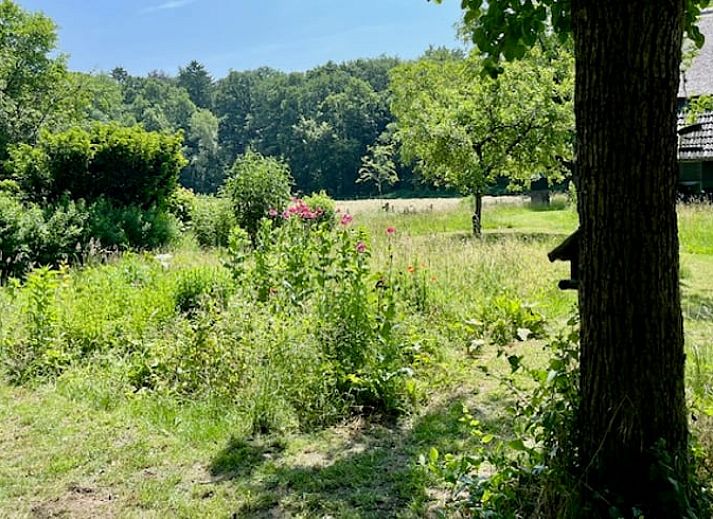 Guest house 286502 - Holiday property Rivierengebied - Huisje in Vierakker