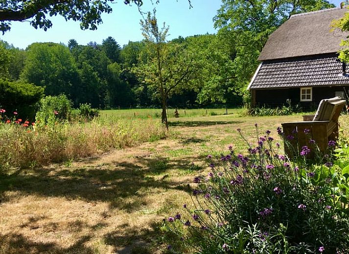 Guest house 286502 - Holiday property Rivierengebied - Huisje in Vierakker