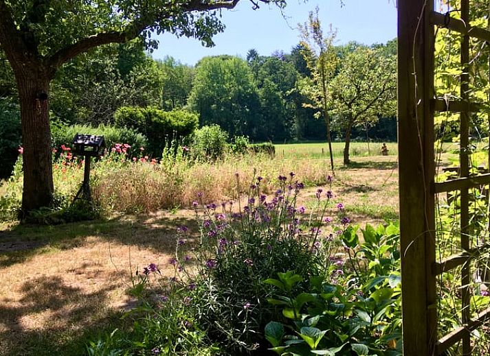 Guest house 286502 - Holiday property Rivierengebied - Huisje in Vierakker