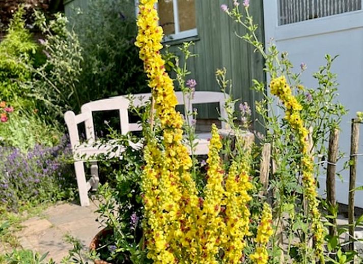Guest house 286502 - Holiday property Rivierengebied - Huisje in Vierakker