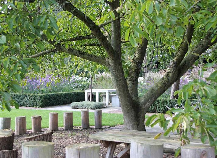 Unterkunft 286709 - Ferienhaus Rivierengebied - DG1294