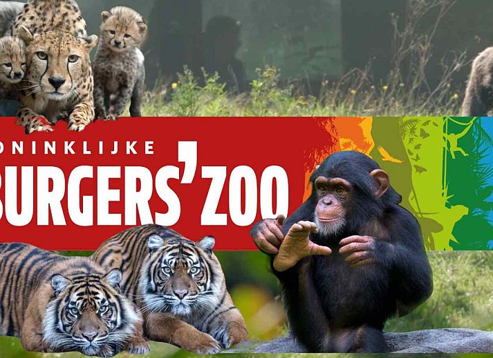 Unterkunft 286709 - Ferienhaus Rivierengebied - DG1294