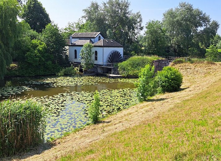 Guest house 287003 - Holiday property Rivierengebied - Betuwsend
