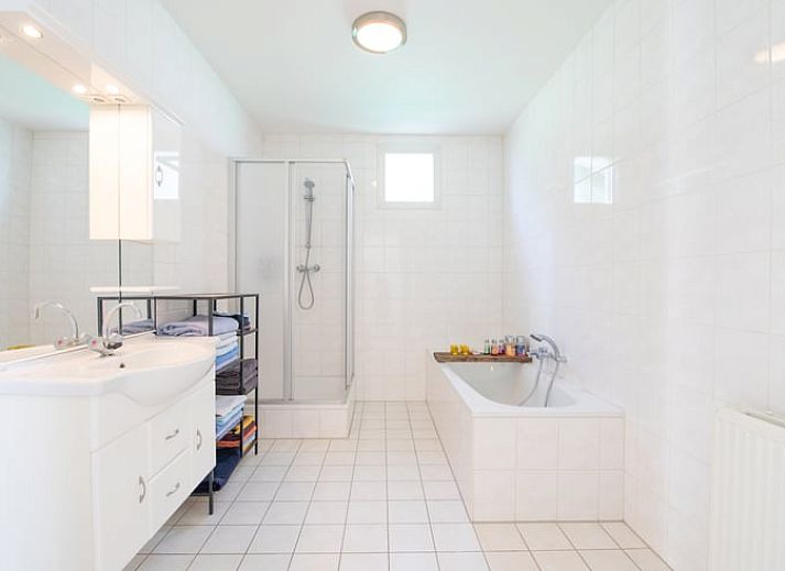 Sunny terrace of vacation home Cottage in Maasbommel, ideal for relaxation.