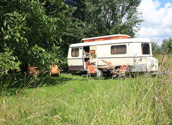 Guest house 287105 - Holiday property Rivierengebied - Huisje in Maasbommel