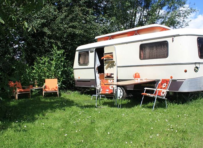 Guest house 287105 - Holiday property Rivierengebied - Huisje in Maasbommel