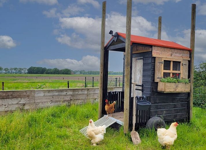 Unterkunft 287107 - Ferienhaus Rivierengebied - Huisje in Maasbommel