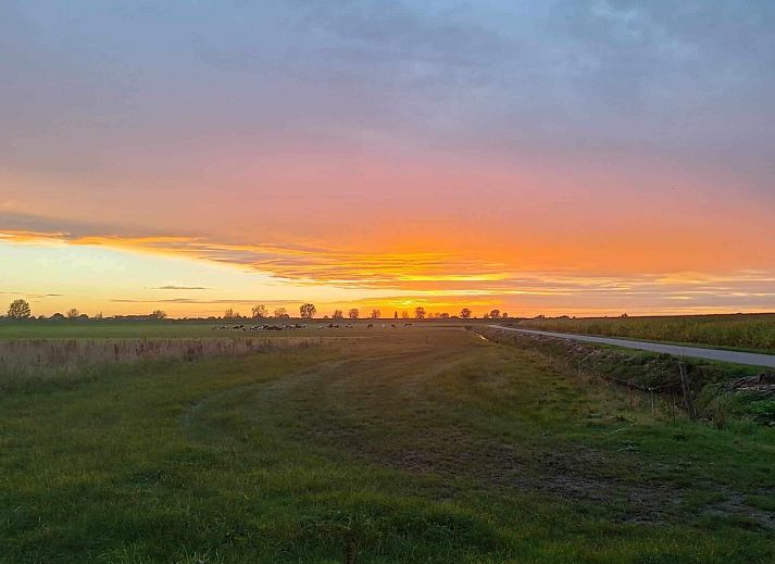 Unterkunft 287116 - Ferienhaus Rivierengebied - DG1711