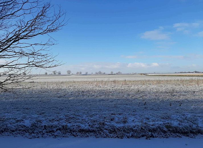 Unterkunft 287116 - Ferienhaus Rivierengebied - DG1711