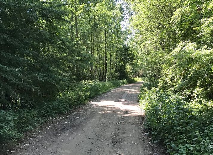 Stilvolle Details im Inneren des Ferienhauses in Rossum, Rivierengebied.