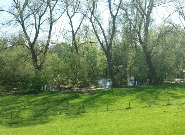 Esszimmer mit Aussicht im Ferienhaus in Rossum, ideal fuer Familienessen in Gelderland.