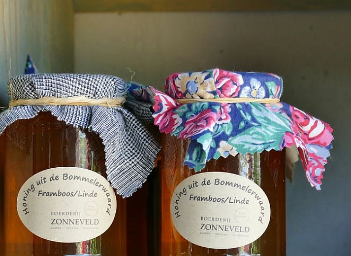 Modernes Badezimmer im Ferienhaus in Rossum mit einzigartigem Waschbecken, Rivierengebied.