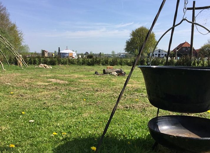 Verblijf 287401 - Vakantiewoning Rivierengebied - Vakantiehuisje in Toldijk