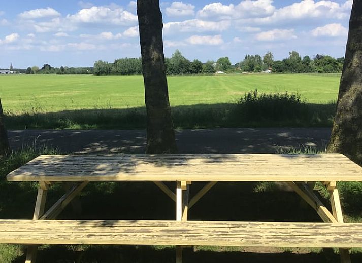 Verblijf 287401 - Vakantiewoning Rivierengebied - Vakantiehuisje in Toldijk