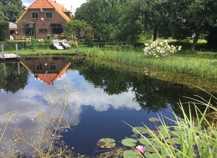Verblijf 287401 - Vakantiewoning Rivierengebied - Vakantiehuisje in Toldijk