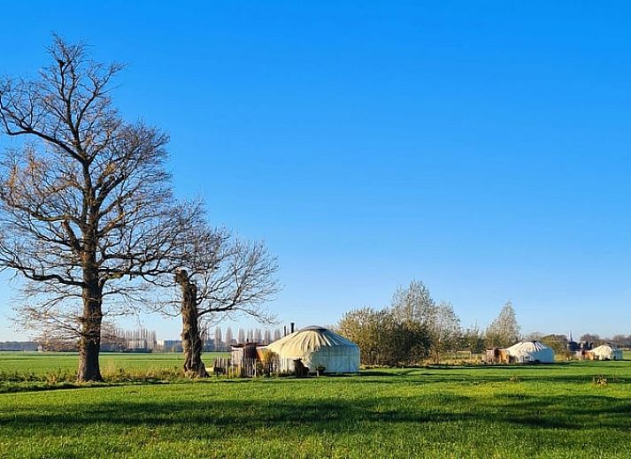Veranda met uitzicht op natuur bij Huisje in Toldijk, vakantieaccommodatie in Gelderland.