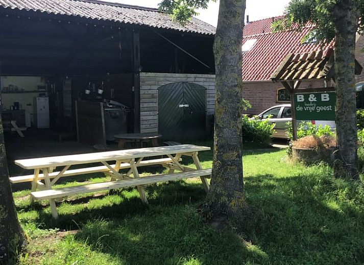 Verblijf 287407 - Vakantiewoning Rivierengebied - Vakantiehuis in Toldijk