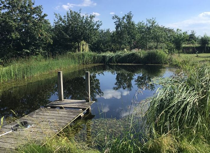 Verblijf 287407 - Vakantiewoning Rivierengebied - Vakantiehuis in Toldijk
