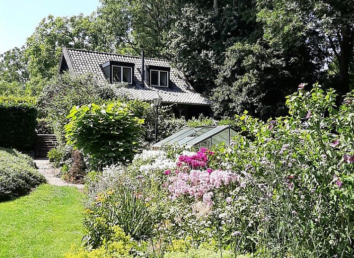 Guest house 287501 - Holiday property Rivierengebied - Huisje in Dodewaard