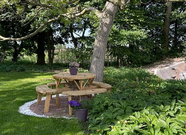 Guest house 287501 - Holiday property Rivierengebied - Huisje in Dodewaard