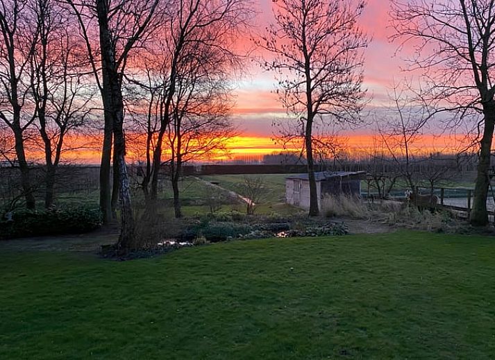 Guest house 287501 - Holiday property Rivierengebied - Huisje in Dodewaard