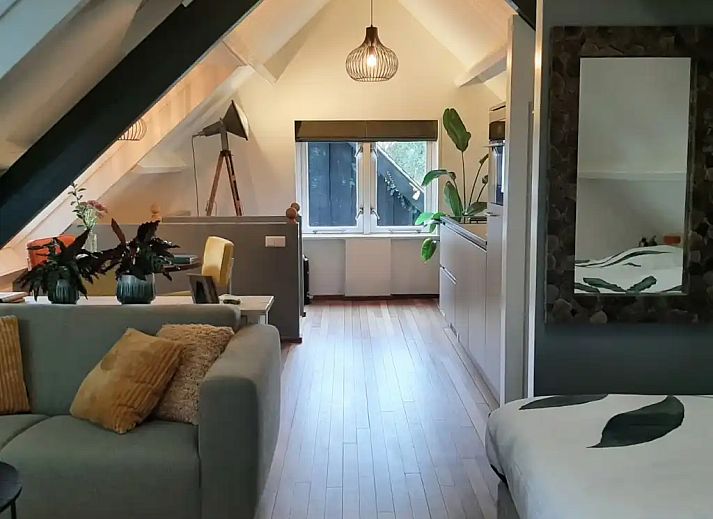 Guest house 287503 - Holiday property Rivierengebied - The Tiny Walnut