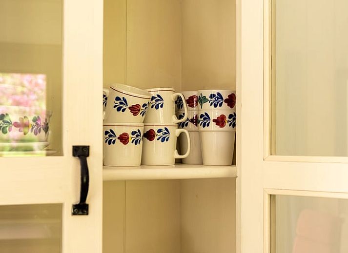 Unterkunft 287901 - Ferienhaus Rivierengebied - Huisje in Heesselt