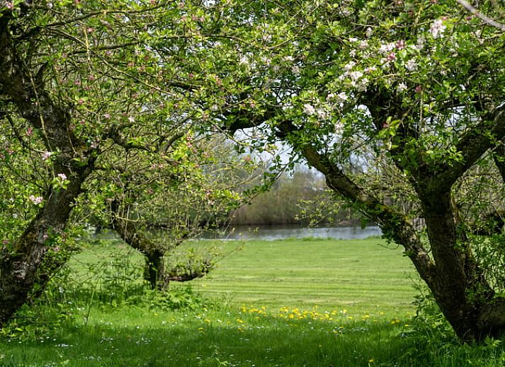 Unterkunft 287901 - Ferienhaus Rivierengebied - Huisje in Heesselt