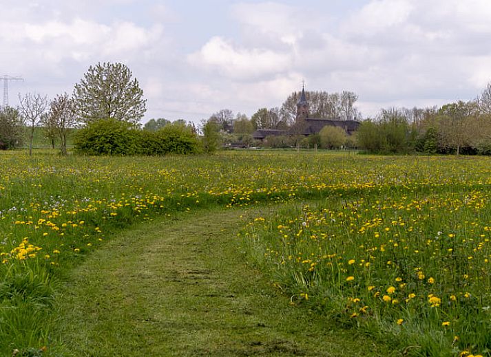 Unterkunft 287901 - Ferienhaus Rivierengebied - Huisje in Heesselt
