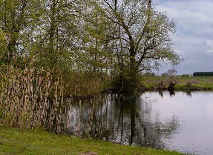Unterkunft 287901 - Ferienhaus Rivierengebied - Huisje in Heesselt