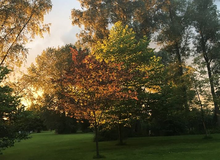 Unterkunft 287901 - Ferienhaus Rivierengebied - Huisje in Heesselt