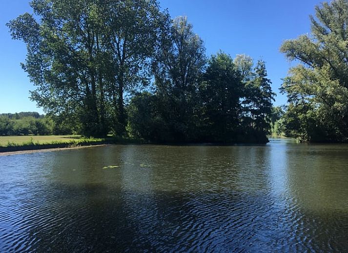 Unterkunft 287901 - Ferienhaus Rivierengebied - Huisje in Heesselt