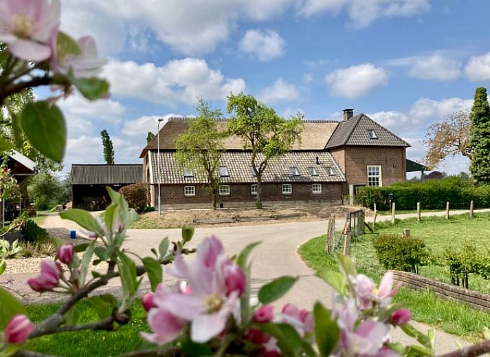 Ferienhaus in Angerlo mit Reetdach, gelegen in Rivierengebied, Gelderland.
