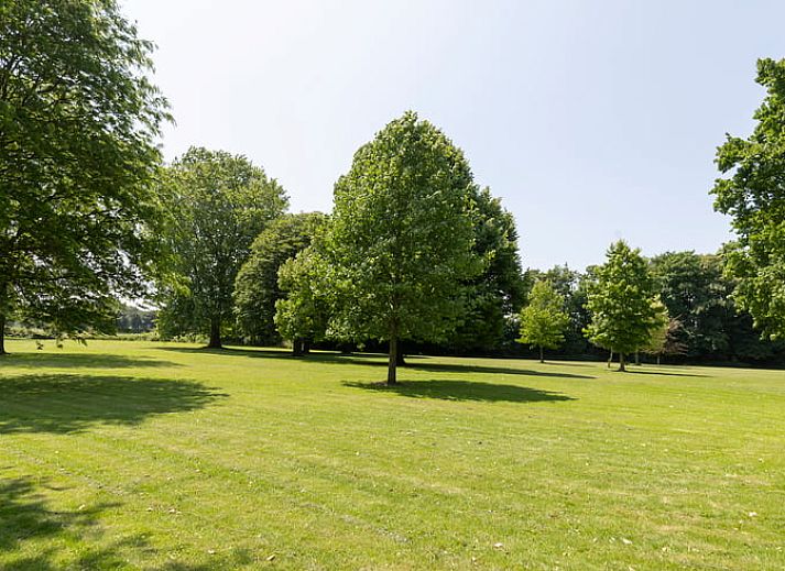 Unterkunft 288902 - Ferienhaus Rivierengebied - Huisje in Kerk-Avezaath