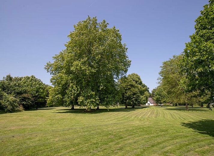 Unterkunft 288902 - Ferienhaus Rivierengebied - Huisje in Kerk-Avezaath