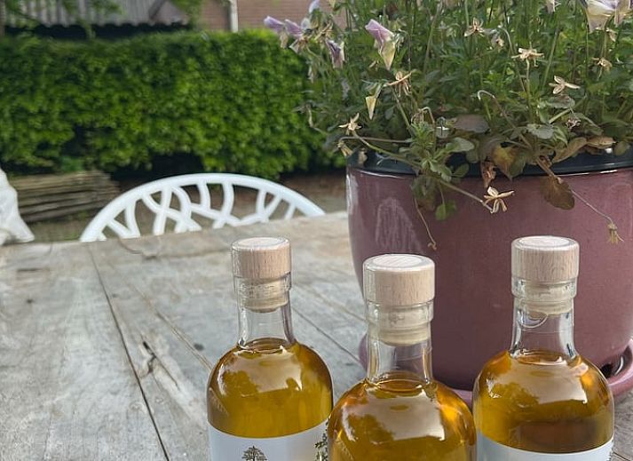 Unterkunft 289401 - Ferienhaus Rivierengebied - Vakantiehuisje in Neerijnen