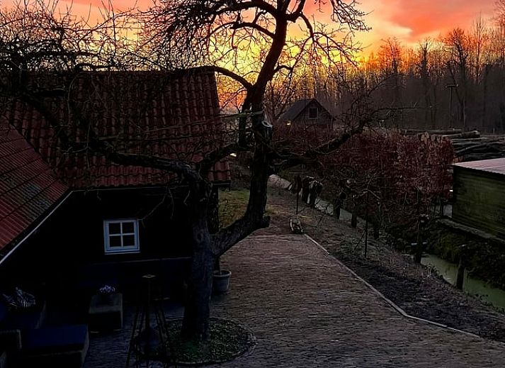 Unterkunft 289401 - Ferienhaus Rivierengebied - Vakantiehuisje in Neerijnen