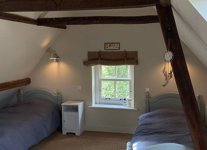 Rustieke boom in de tuin van vakantiehuisje in Neerijnen, perfect voor natuurliefhebbers in Gelderland.