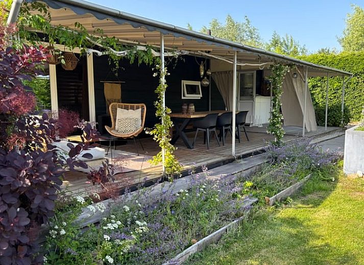 Geniet van de veranda van Huisje in Gellicum, een vakantiehuis in het Rivierengebied van Gelderland, omringd door groen en rust.