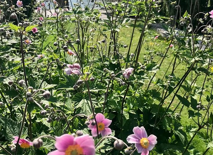 Geniet van de rust op de veranda van Huisje in Gellicum, een charmant vakantiehuis in het groene Rivierengebied, Gelderland.