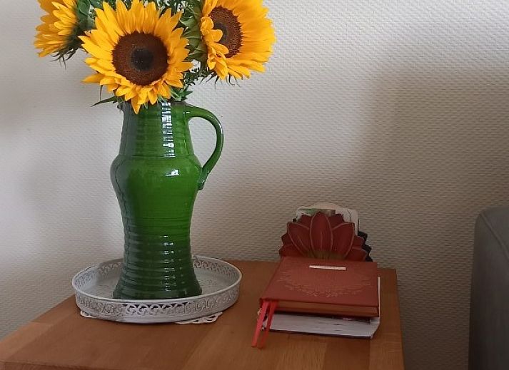 Vakantiewoning Hogeweg in Winterswijk, gezellig vakantiehuis met groene tuin in de Achterhoek, Gelderland.