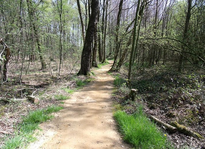 Stijlvolle woonkamer met bloemen in Vakantiewoning Hogeweg, Winterswijk, gelegen in de prachtige Achterhoek.